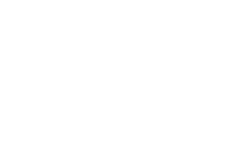 Ico_02